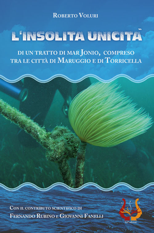 L'insolita unicità di un tratto di Mar Jonio, compreso tra le città di Maruggio e di Torricella