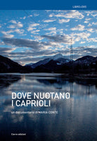 Dove nuotano i caprioli. Acque, memorie, tralicci e r-esistenze in Cadore