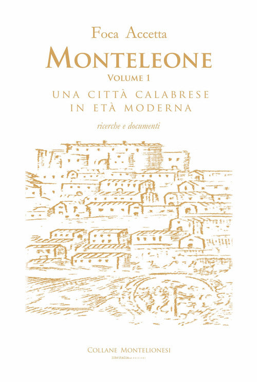 Monteleone. Una città calabrese in età moderna. Ricerche e documenti. Vol. 1