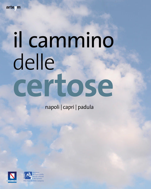 Il cammino delle certose. Napoli. Capri. Padula