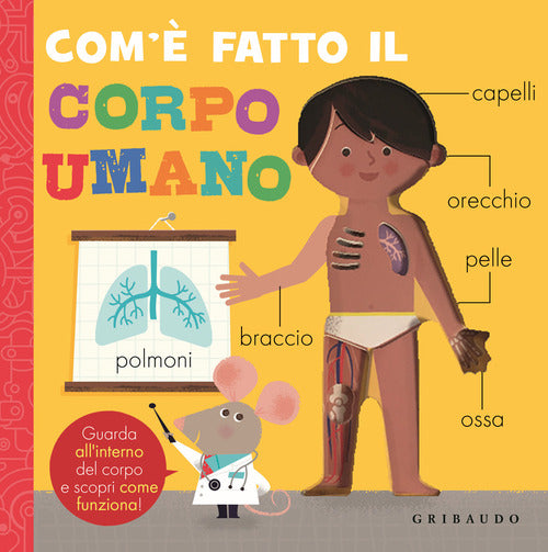 Com' fatto il corpo umano