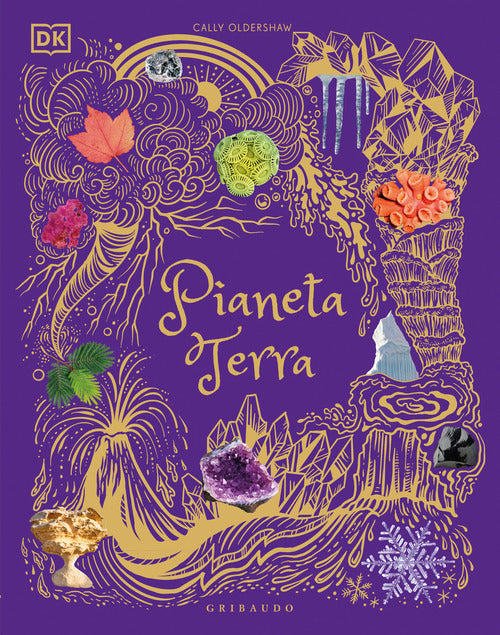 Pianeta Terra