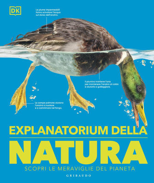 DK Explanatorium della natura. Scopri le meraviglie del pianeta