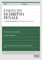 I principi del diritto penale. Indispensabili per gli scritti di magistratura e concorsi superiori