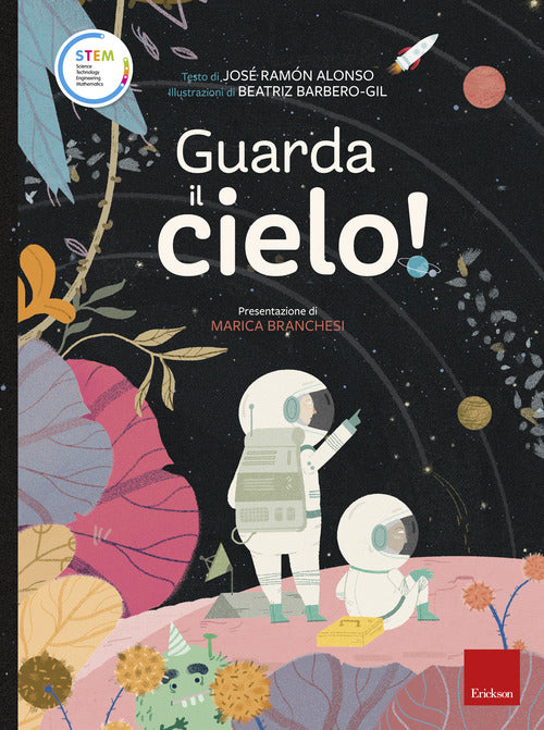 Guarda il cielo! Stem