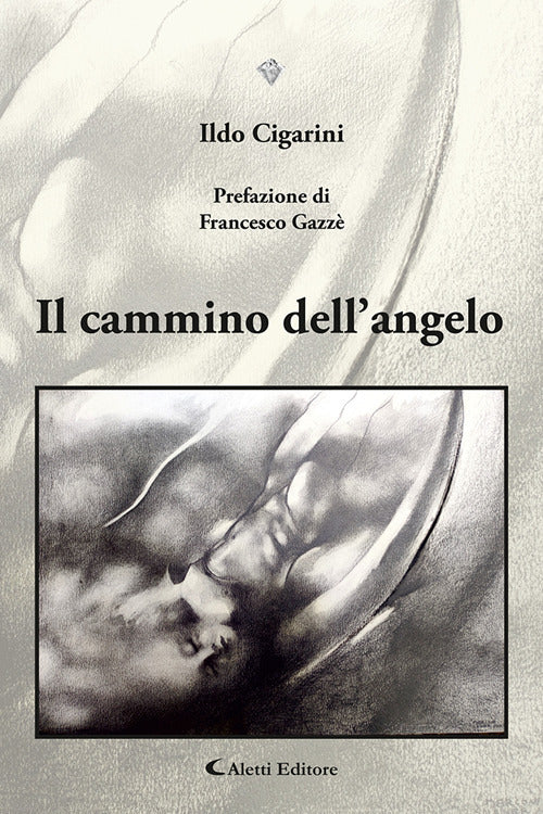 Il cammino dellangelo