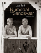 Numedal og Sandsvær. En fotografisk reise