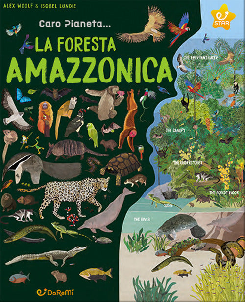 La foresta amazzonica. Caro pianeta...