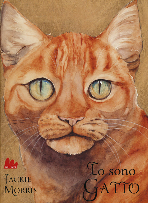 Io sono gatto