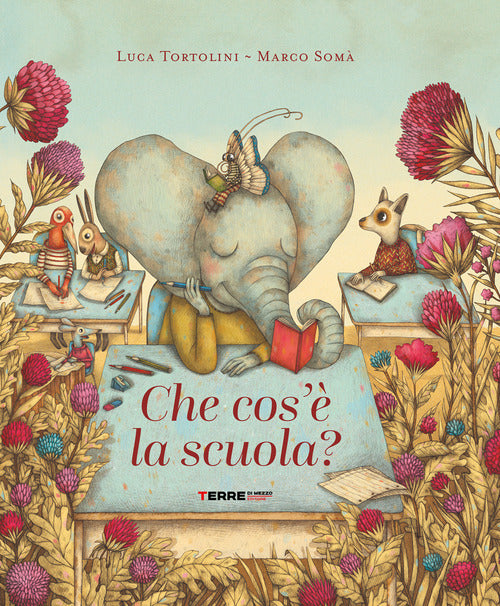 Che cos'è la scuola