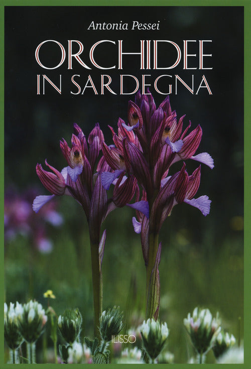 Orchidee in Sardegna