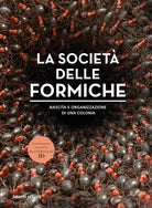 La societ delle formiche