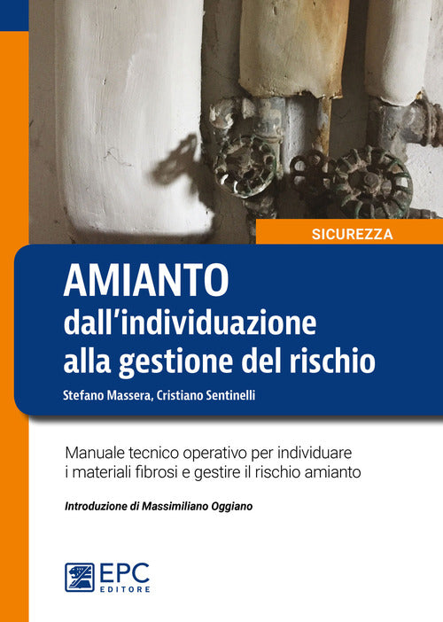Amianto: dallindividuazione alla gestione del rischio. Manuale tecnico operativo per individuare i materiali fibrosi e gestire il rischio amianto