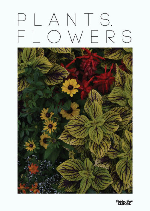 Plants. Flowers