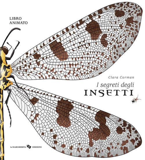 I segreti degli insetti