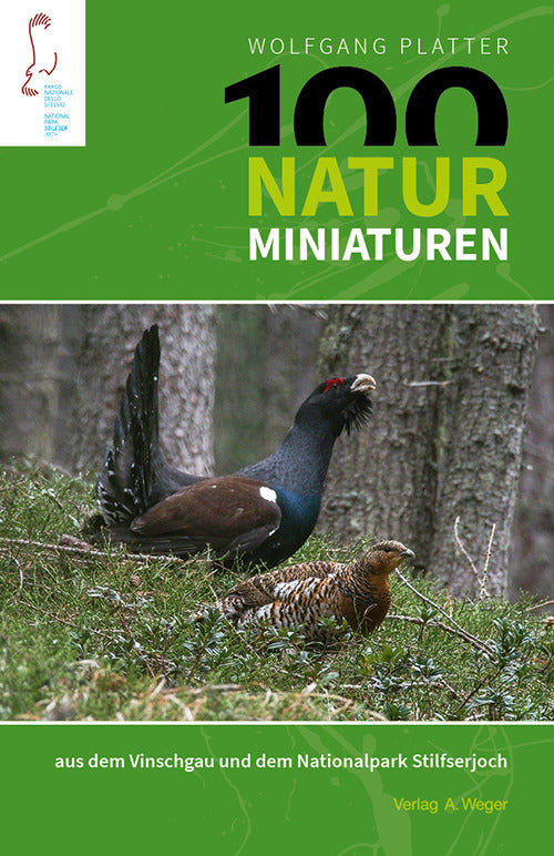 100 naturminiaturen aus dem Vinschgau und dem Nationalpark Silfserjoch