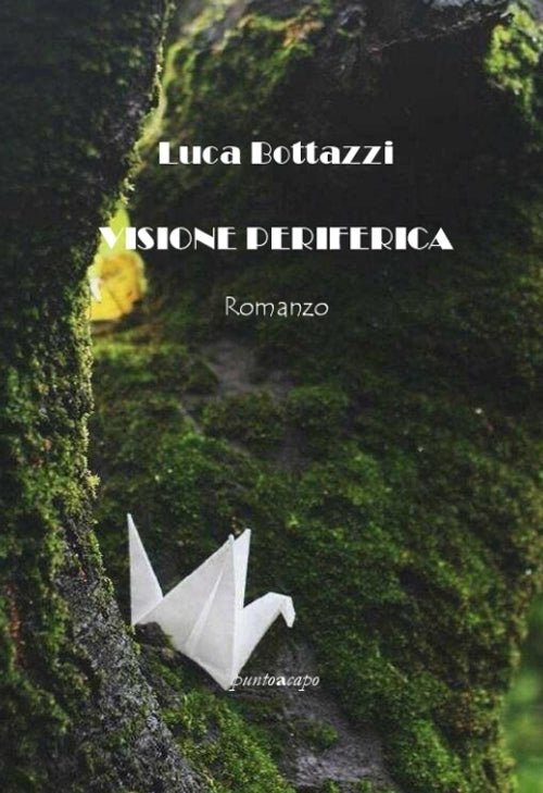 Visione periferica