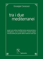 Tra i due mediterranei