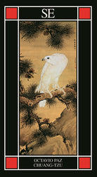 Chuang-tzu. Vita dell'uomo che divent perfetto