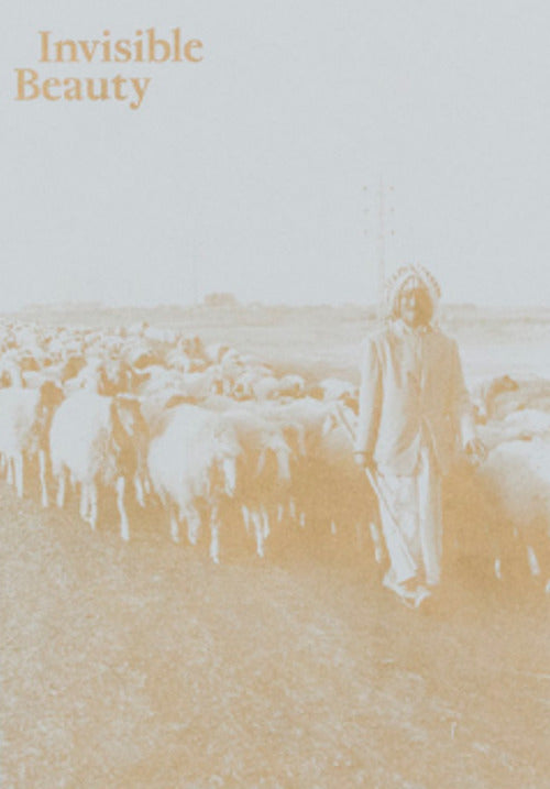 Invisible Beauty. The Pavilion of Iraq at the 56th Venice Biennale