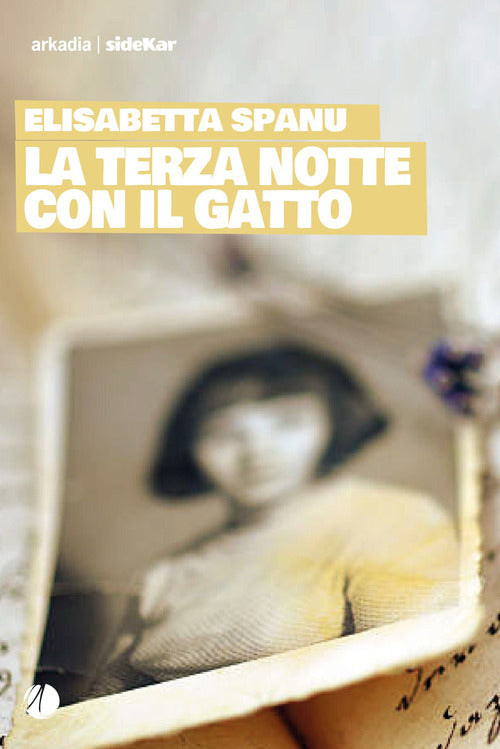 La terza notte con il gatto
