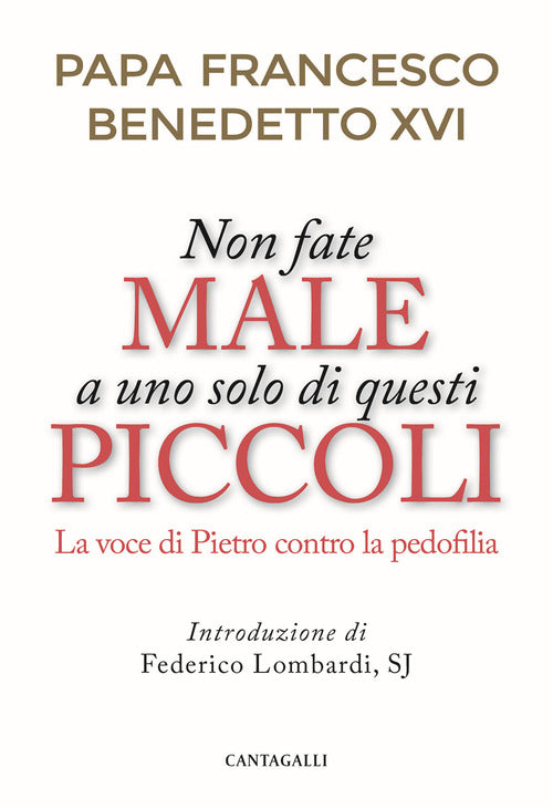 Non fate male a uno solo di questi piccoli. La voce di Pietro contro la pedofilia