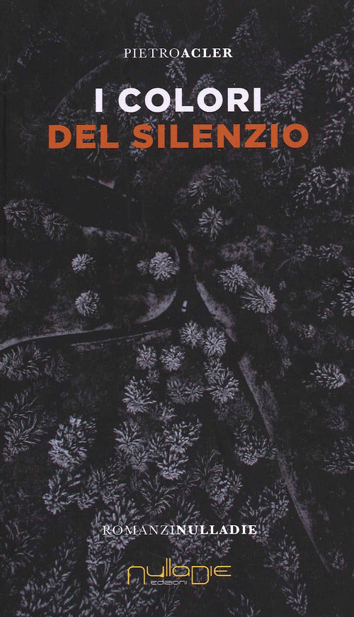 Il colore del silenzio