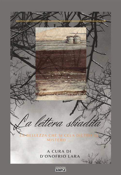 La lettera sbiadita. La bellezza che si cela dietro il mistero...