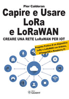 Capire e usare LoRa e LoRaWAN. Creare una rete LoRaWAN per IoT. Con Progetto Pratico di un dispositivo LoRa e LoRaWAN con Arduino, ATmega328 e Raspberry Pi
