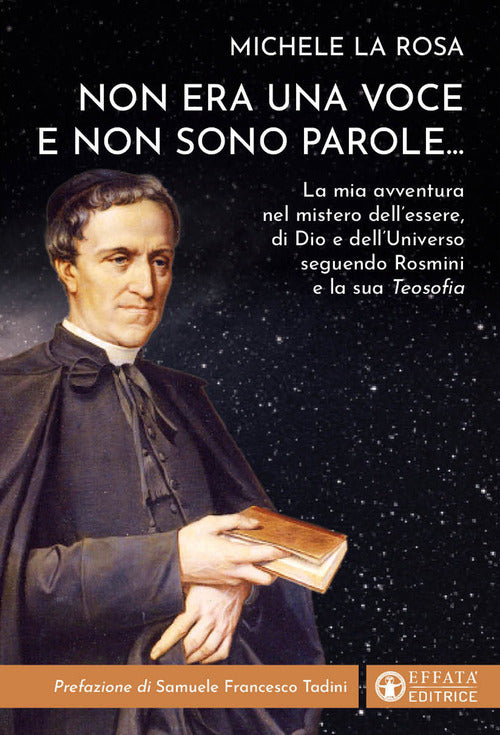 Non era una voce e non sono parole...La mia avventura nel mistero dell'essere, di Dio e dell'universo seguendo Rosmini e la sua Teosofia