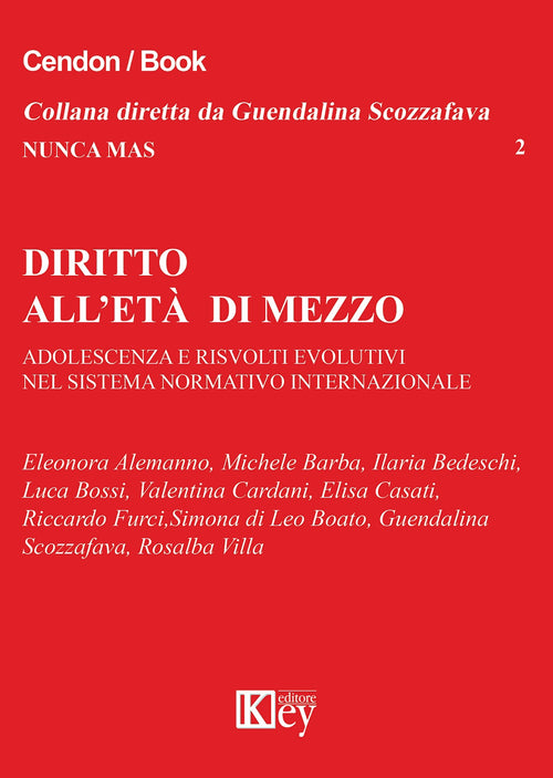 Diritto all'età di mezzo. Adolescenza e risvolti evolutivi nel sistema normativo internazionale