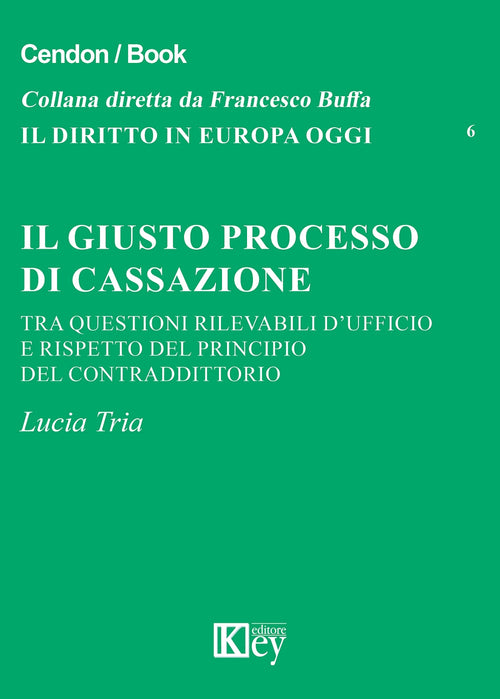 Il giusto processo di cassazione tra questioni rilevabili d'ufficio e rispetto del principio del contraddittorio
