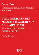 L'accoglienza dei minori stranieri non accompagnati. Tra norma giuridica e agire sociale