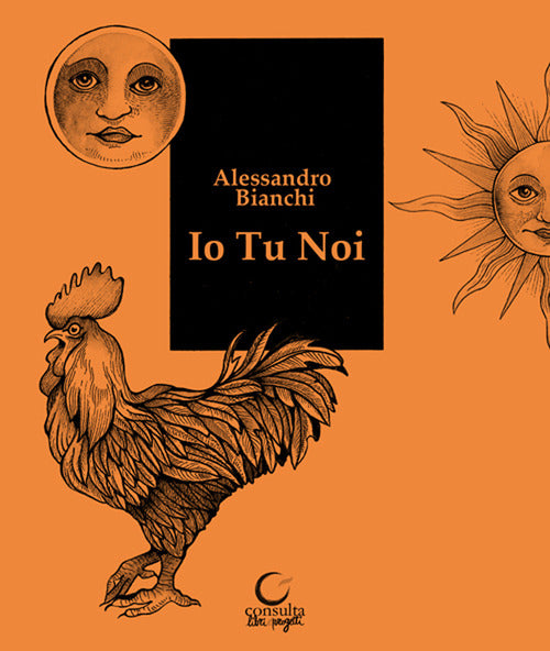 Io Tu Noi