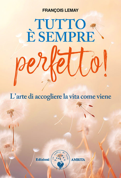 Tutto sempre perfetto! L'arte di accogliere la vita come viene