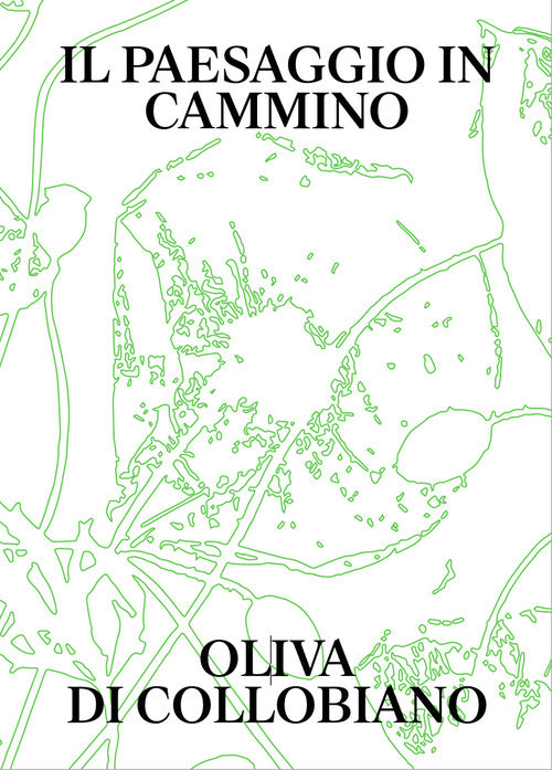Il paesaggio in cammino