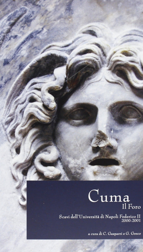 Cuma. Il Foro. Scavi dell'Universit di Napoli Federico II, 2000-2001