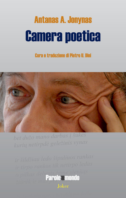 Camera poetica