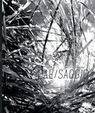 Pae/saggi