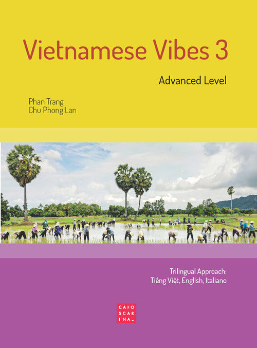 Vietnamese vibes 1. Advanced level