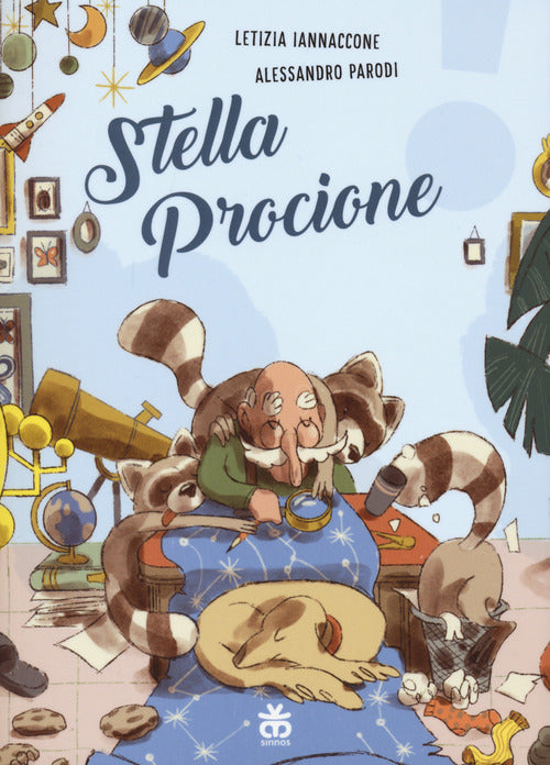 Stella procione