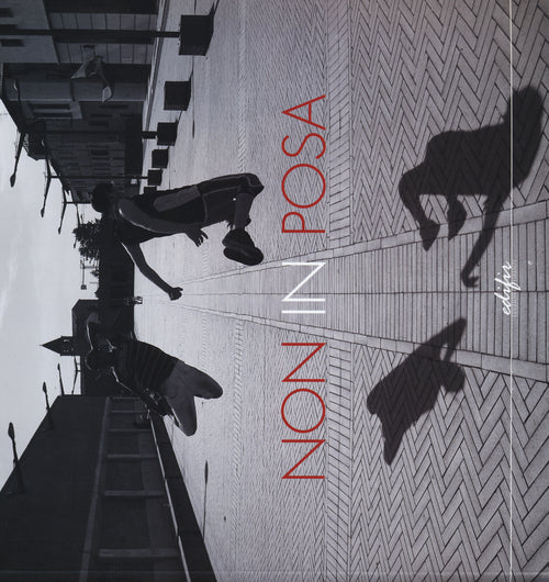 Non in posa-Right/Wrong. Paesaggio/Fotografia. Ediz. italiana e inglese