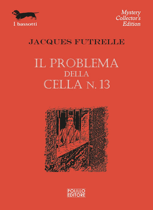 Il problema della cella n13