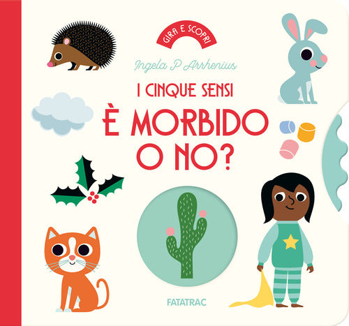 morbido o no? I cinque sensi