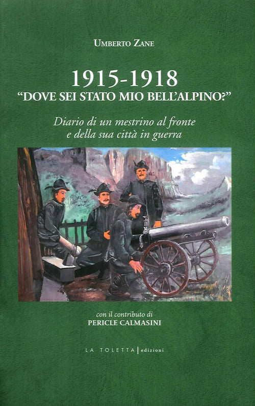 1915-1918. Dove sei stato mio bell'alpino? Diario di un mestrino al fronte e della sua citt in guerra