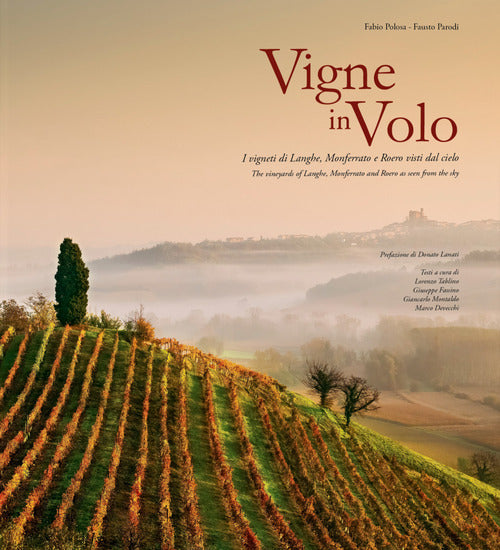 Vigne in volo. I vigneti di Langhe, Monferrato e Roero visti dal cielo. Ediz. italiana e inglese