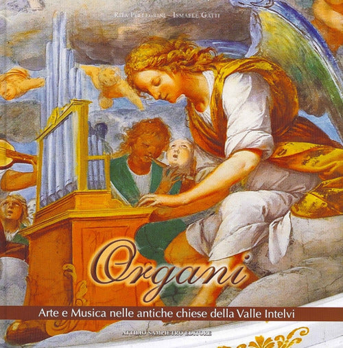 Cover of Organi arte e musica nelle antiche chiese della valle Intelvi