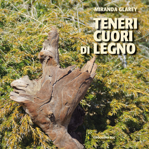 Cover of Teneri cuori di legno