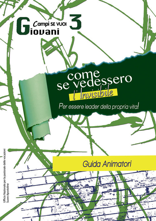Cover of Come se vedessimo l'invisibile. Guida al campo