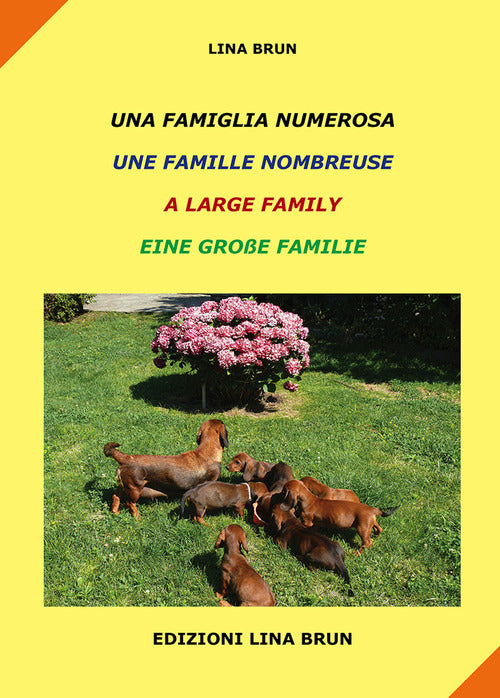 Cover of famiglia numerosa-Une famille nombreuse-A large family-Eine grabe familie